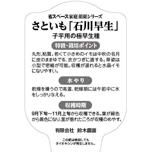 さといも 石川早生