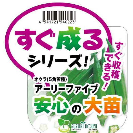 オクラ(5角莢種)アーリーファイブ